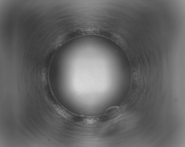 X0000054390662200508121634