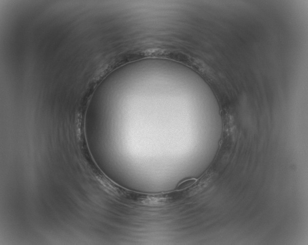 X0000054390664200508121634