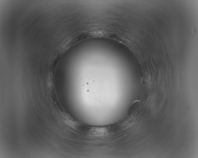 X0000054390665200508121634