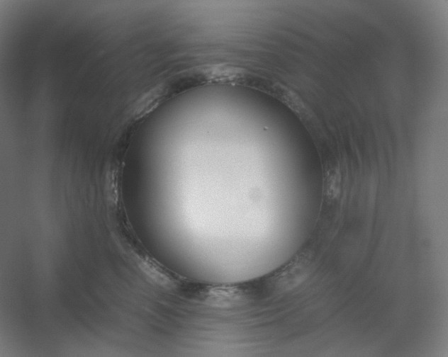 X0000054390666200508121634