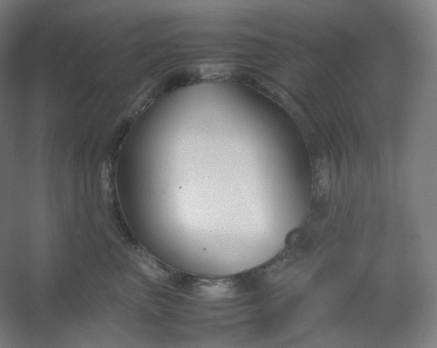 X0000054390667200508121634