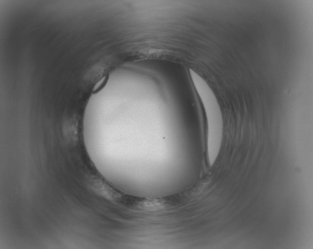 X0000054390668200508121634