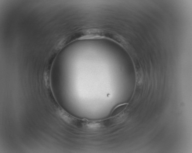 X0000054390669200508121634