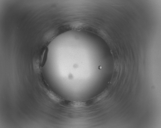 X0000054390670200508121634