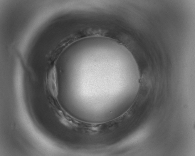 X0000054390671200508121634