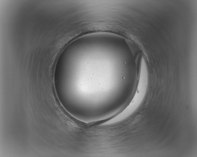 X0000054390673200508121633