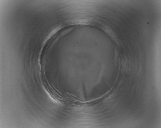 X0000054390674200508121633