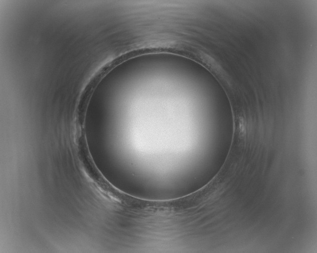 X0000054390676200508121633