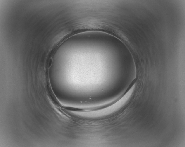 X0000054390677200508121633