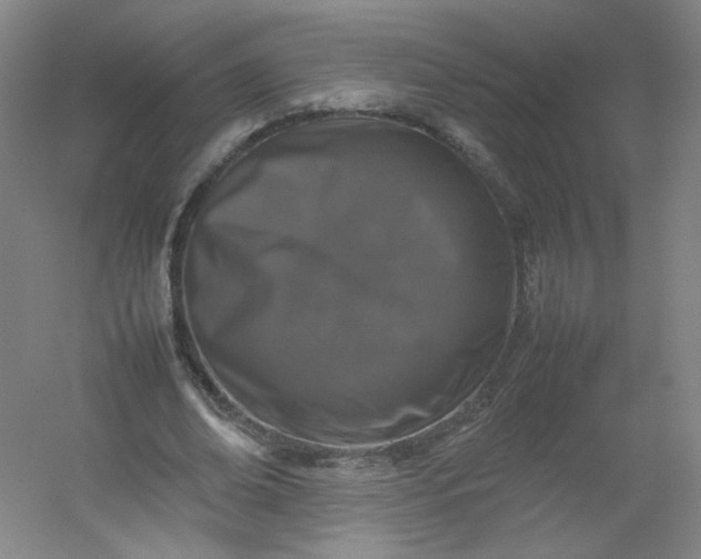 X0000054390678200508121633