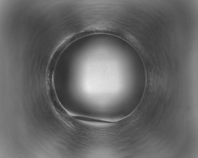 X0000054390680200508121633