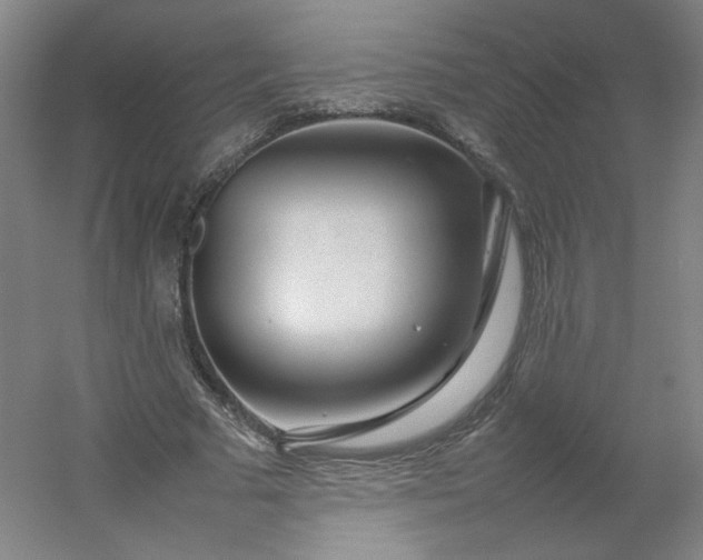 X0000054390681200508121633