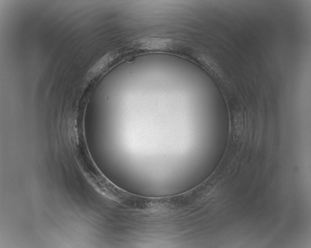 X0000054390682200508121633