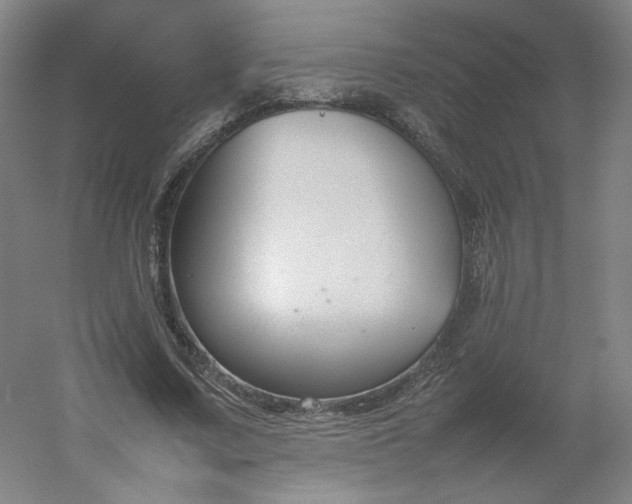 X0000054390683200508121633