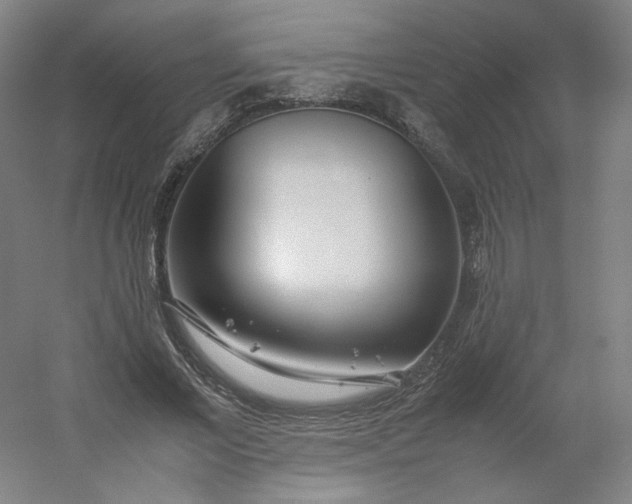 X0000054390685200508121633