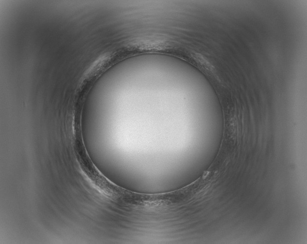 X0000054390686200508121633