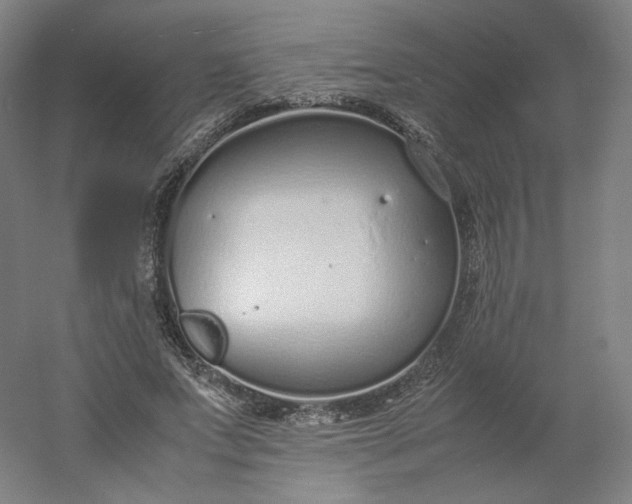 X0000054390687200508121633