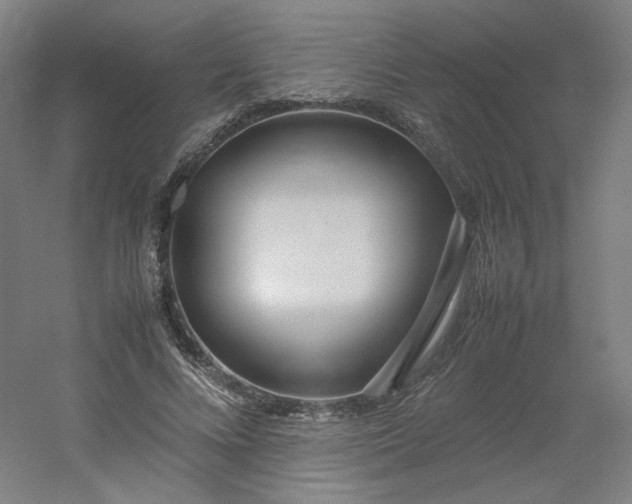 X0000054390688200508121633