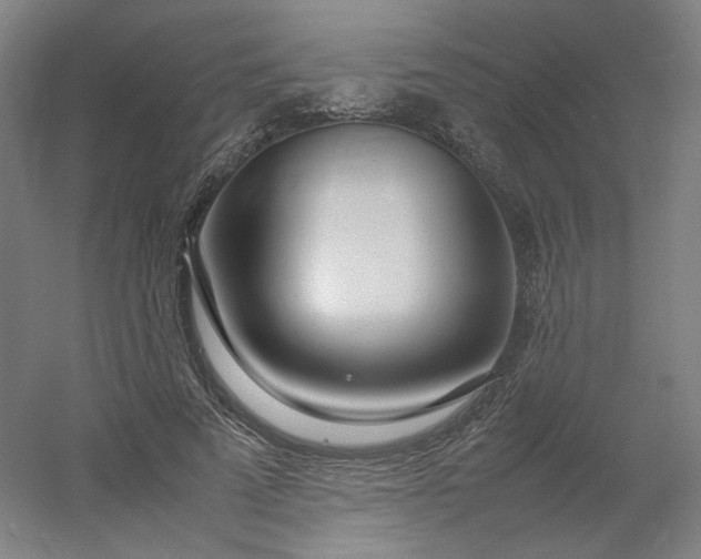 X0000054390689200508121633