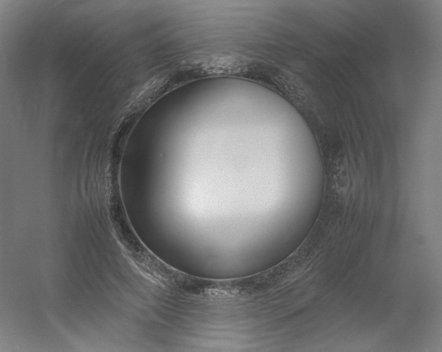 X0000054390690200508121633