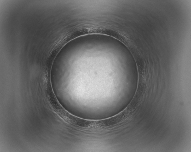 X0000054390691200508121633