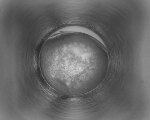 X0000054390692200508121633