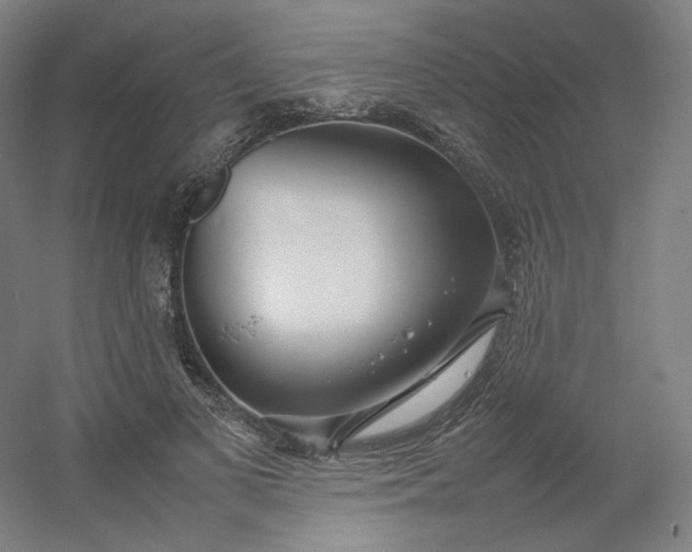 X0000054390693200508121633