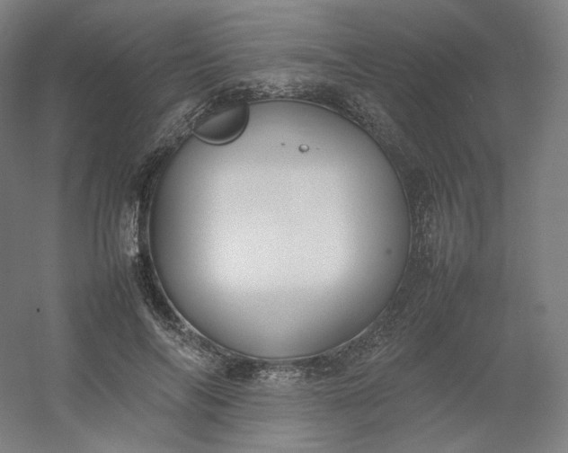 X0000054390694200508121633