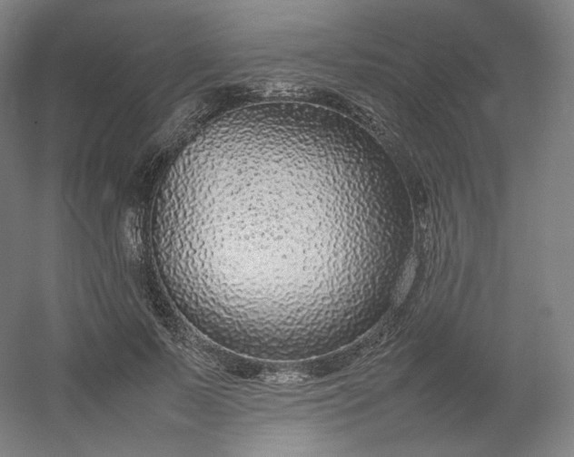 X0000054390695200508121633