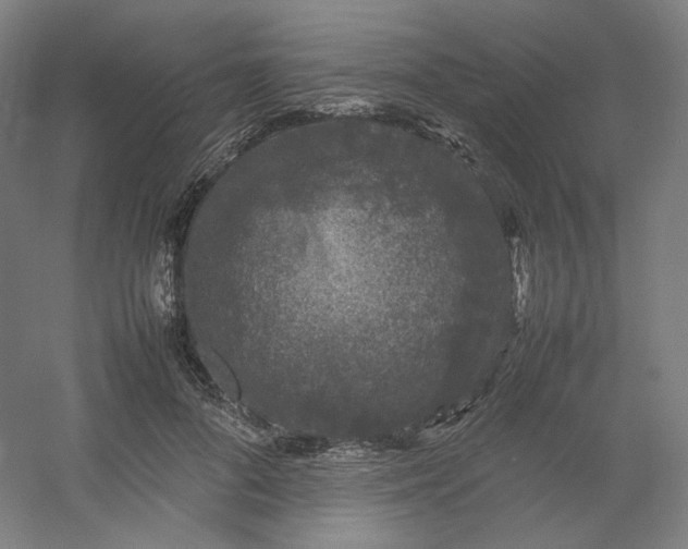 X0000054390696200508121633