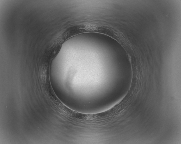 X0000054390697200508121633