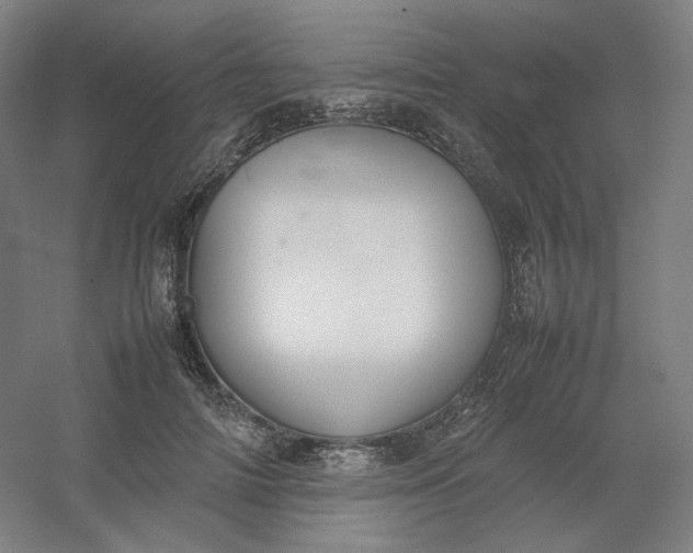 X0000054390698200508121633