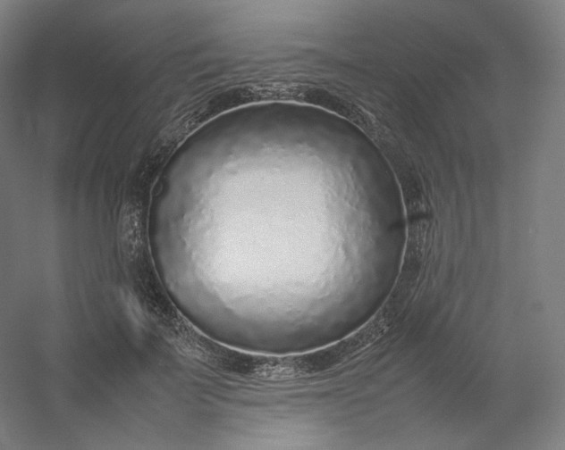 X0000054390699200508121633