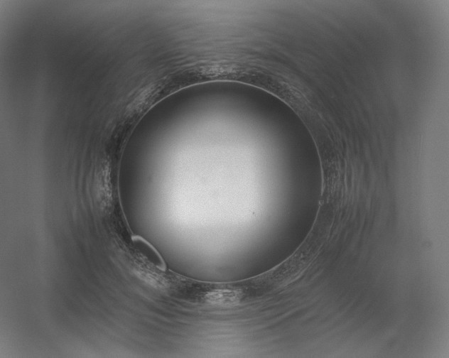 X0000054390700200508121633