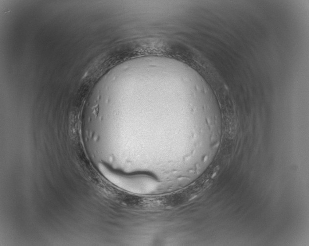 X0000054390701200508121633