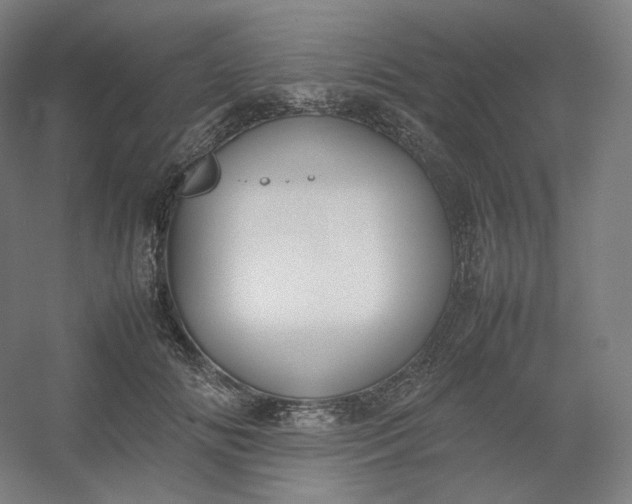 X0000054390702200508121633