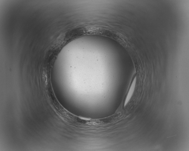 X0000054390703200508121633