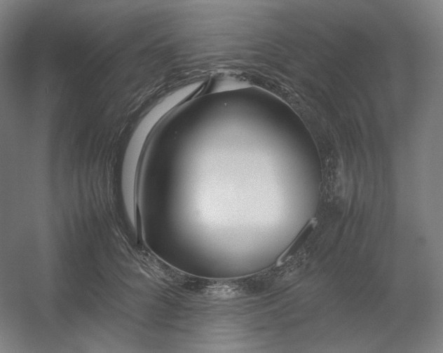 X0000054390704200508121633