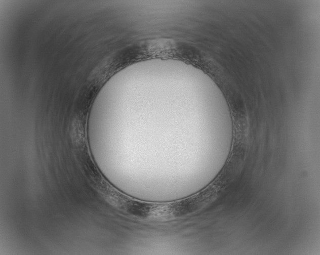 X0000054390705200508121633