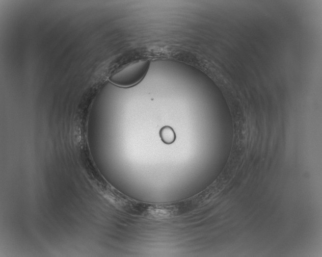 X0000054390706200508121633