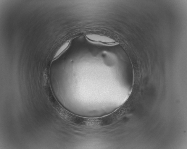 X0000054390707200508121633