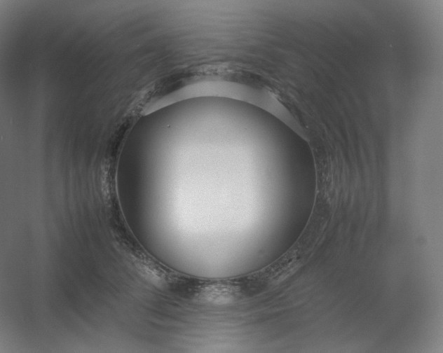 X0000054390708200508121633