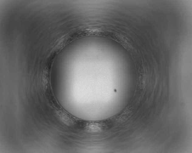 X0000054390710200508121633