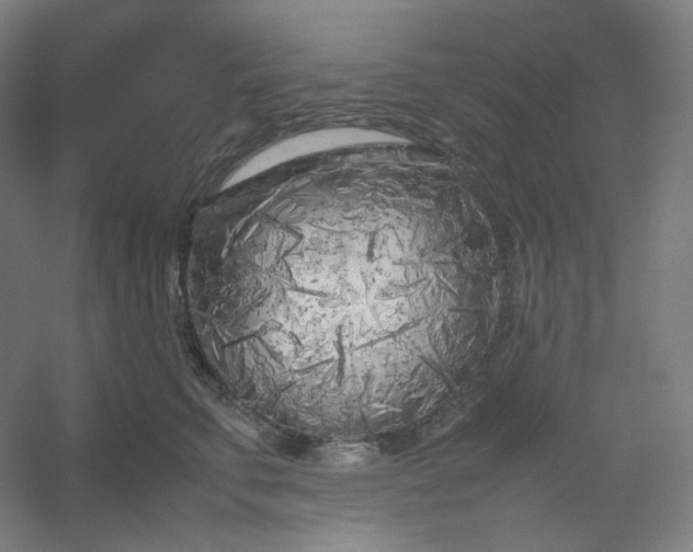 X0000054390711200508121633