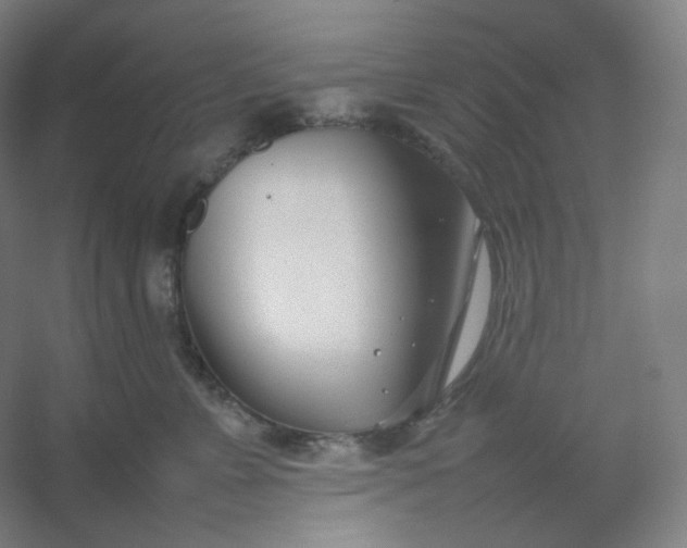 X0000054390715200508121633