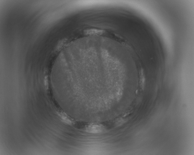 X0000054390716200508121633