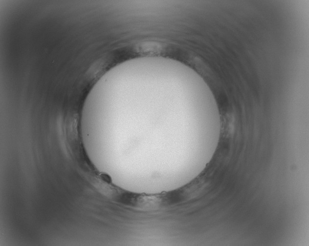 X0000054390717200508121633