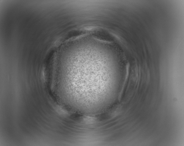 X0000054390718200508121633