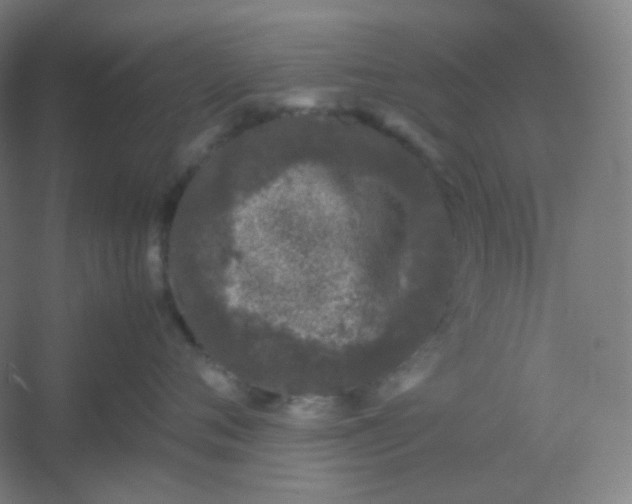 X0000054390720200508121633