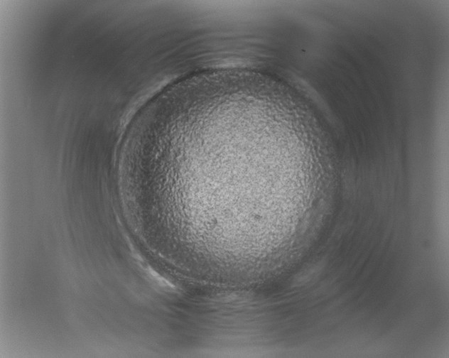 X0000054390721200508121632